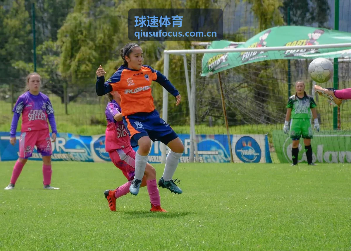 球速体育历史数据库服务